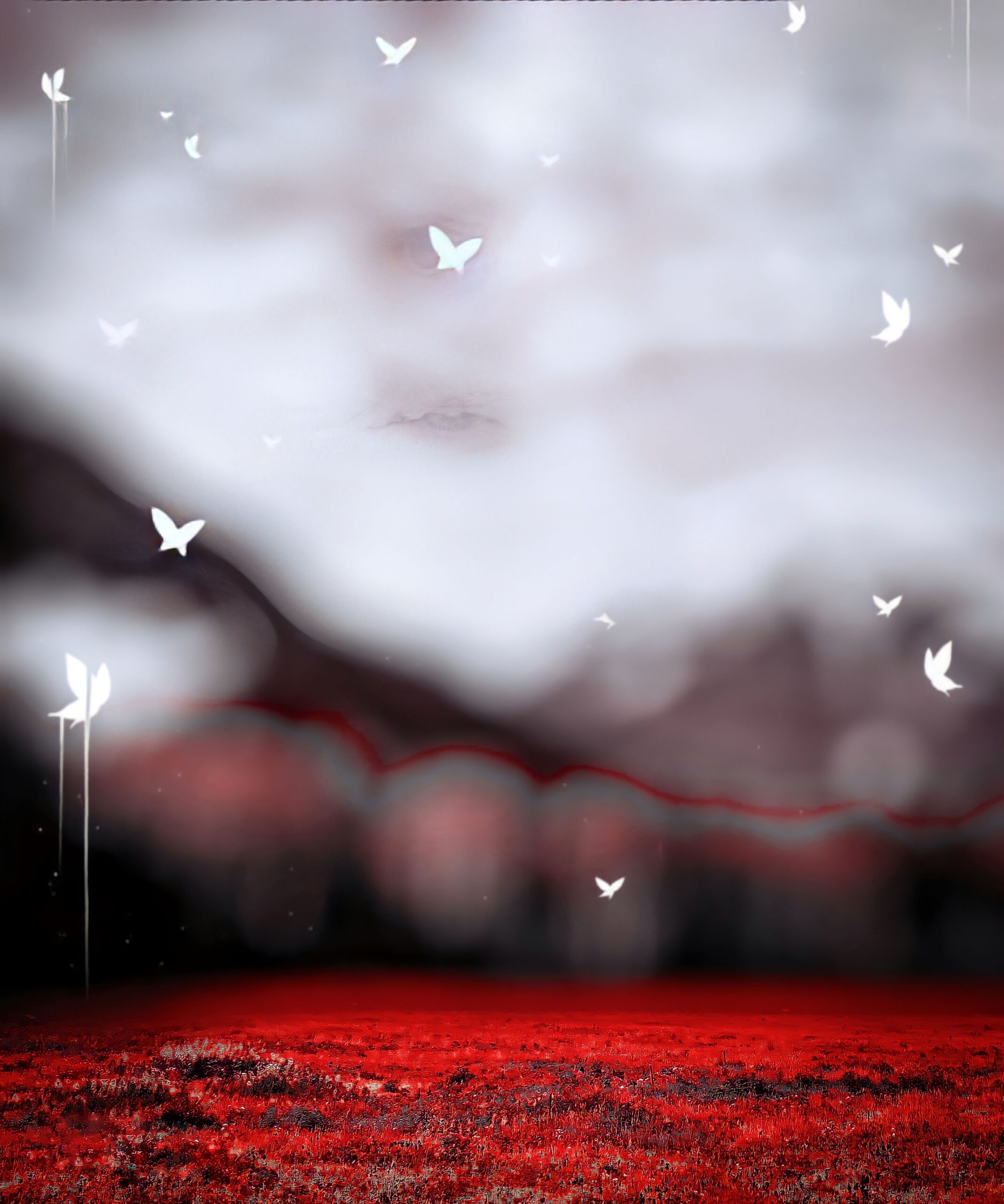 Red Butterfly CB Background HD For Autodesk CB Photo Editing 