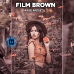 Film Brown Tone Lightroom Preset Download
