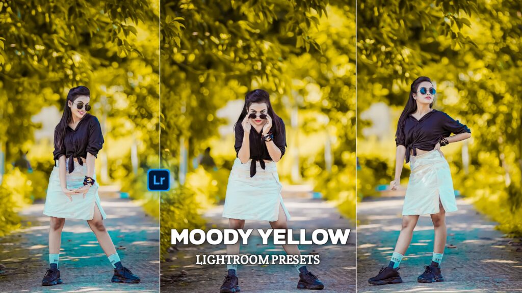 Moody Yellow Lightroom Presets