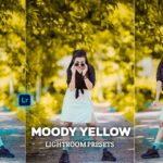 Moody Yellow Lightroom Presets