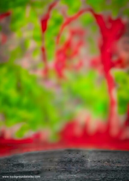 Green And Red CB Photo Editing Background HD Image 