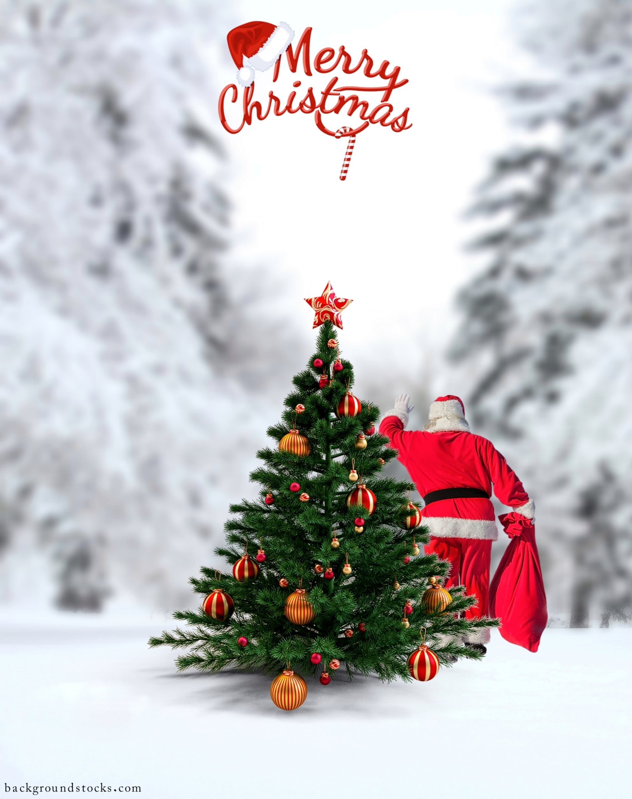 Merry Christmas Tree Background 