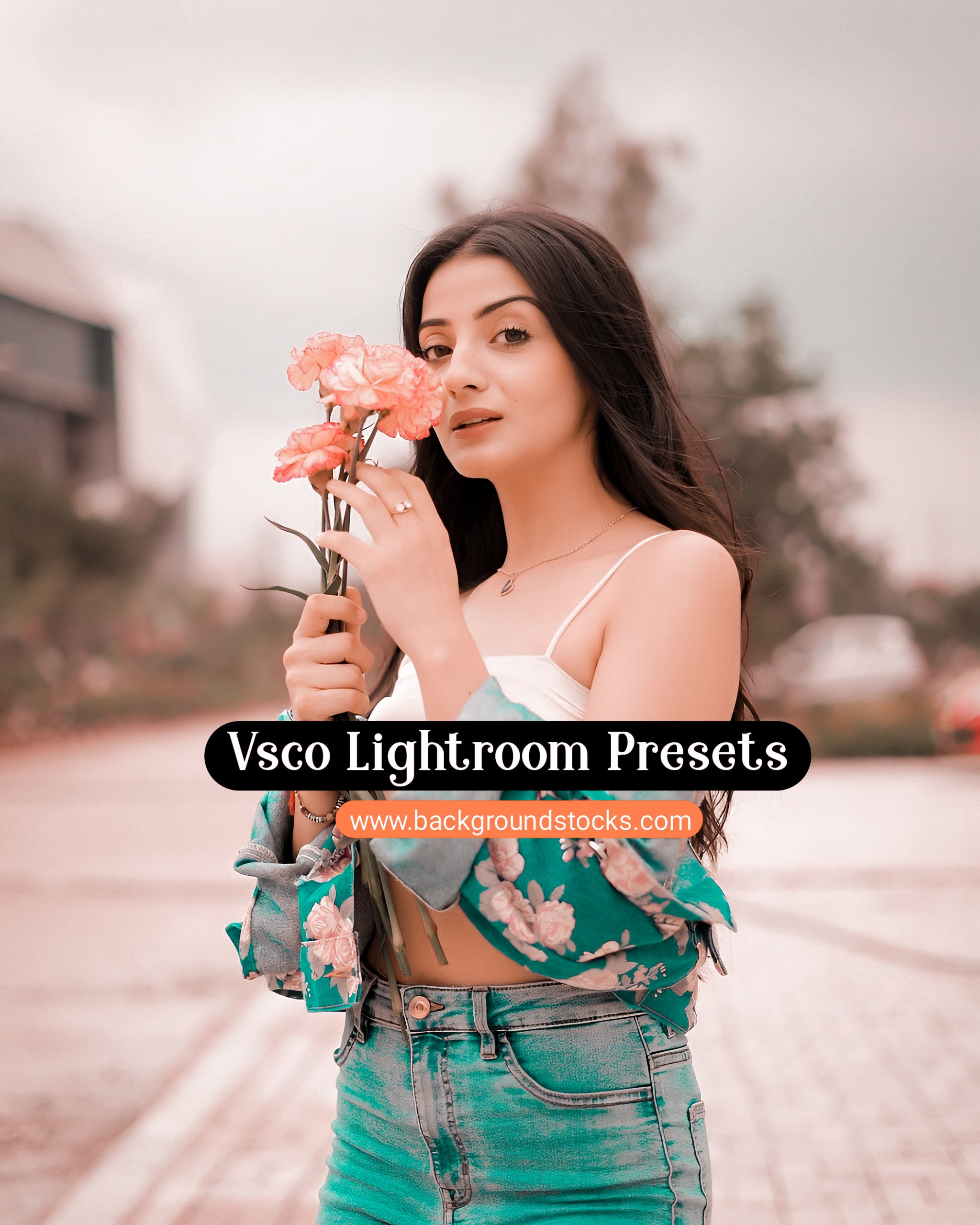 Vsco Free Lightroom Presets 