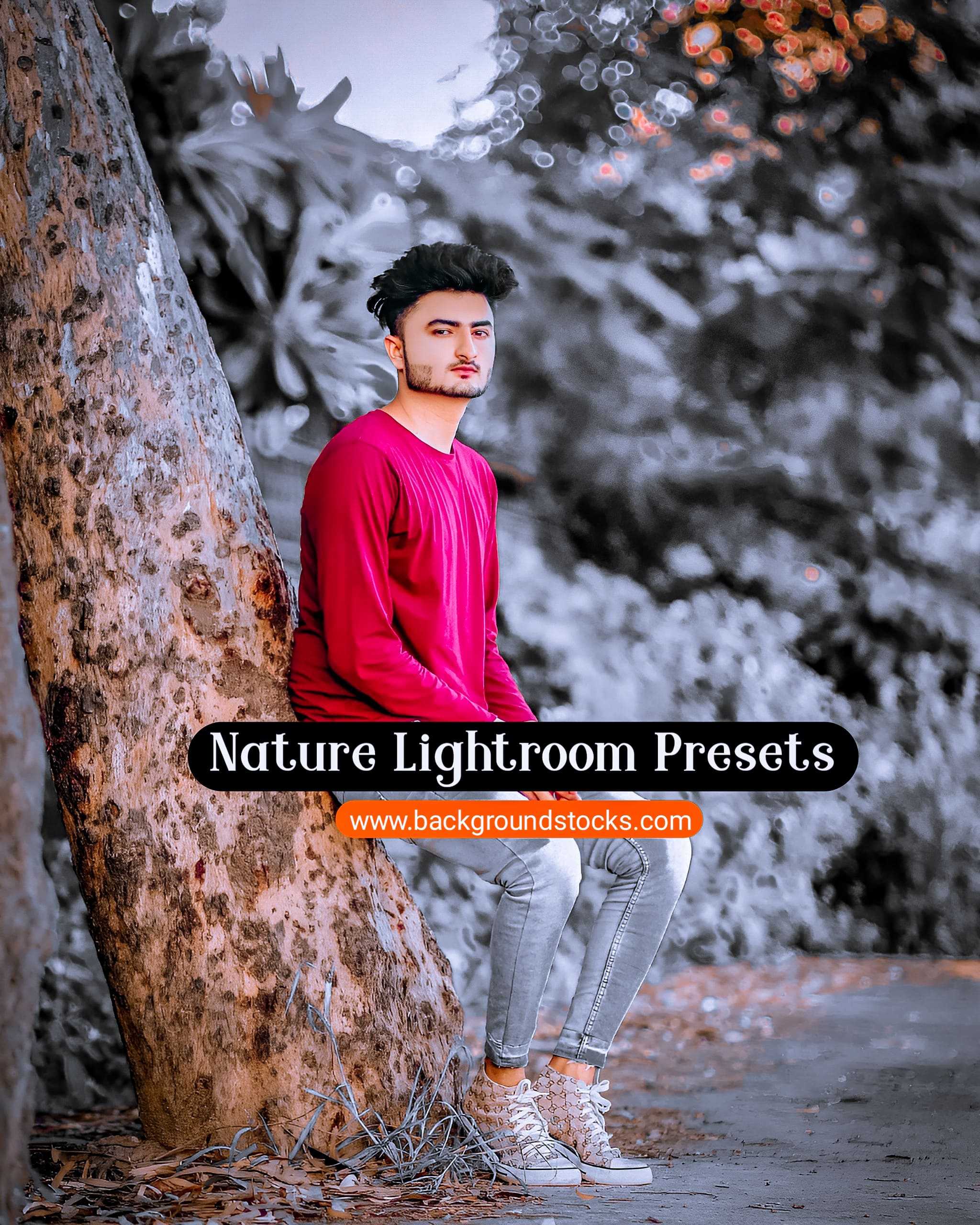Nature Free Lightroom Presets 